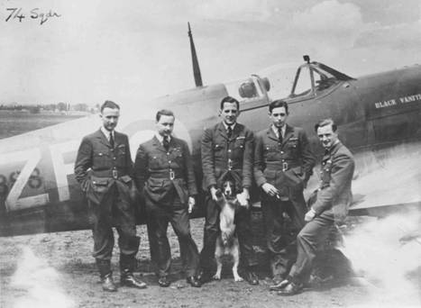 Pilots and mascot of No. 74 Squadron in front of a Spitfire.jpg