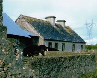 Treacy Family Homestead Derrew Summer 2011.jpg