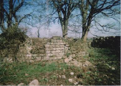 Remains of Treacy homestead, Carhoon, Tynagh 1.jpg