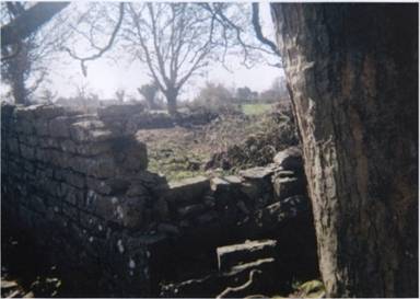 Remains of Treacy homestead, Carhoon, Tynagh 2.jpg