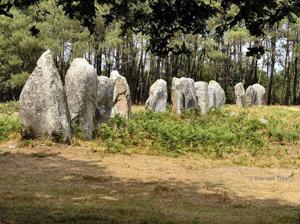 brendan Treacy carnac